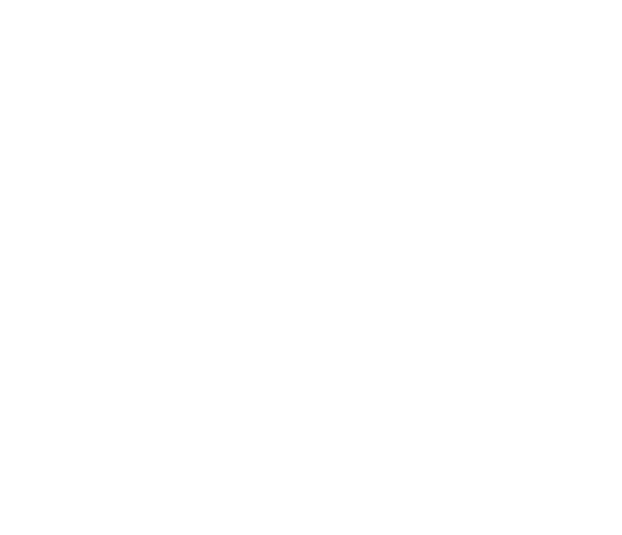 Placeholder Nusantara Half Marathon